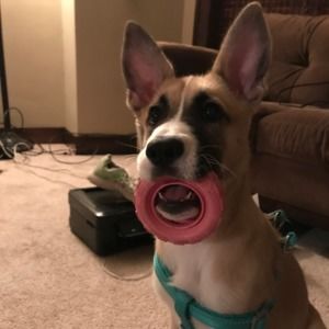 Meet your Posher, Sabrina